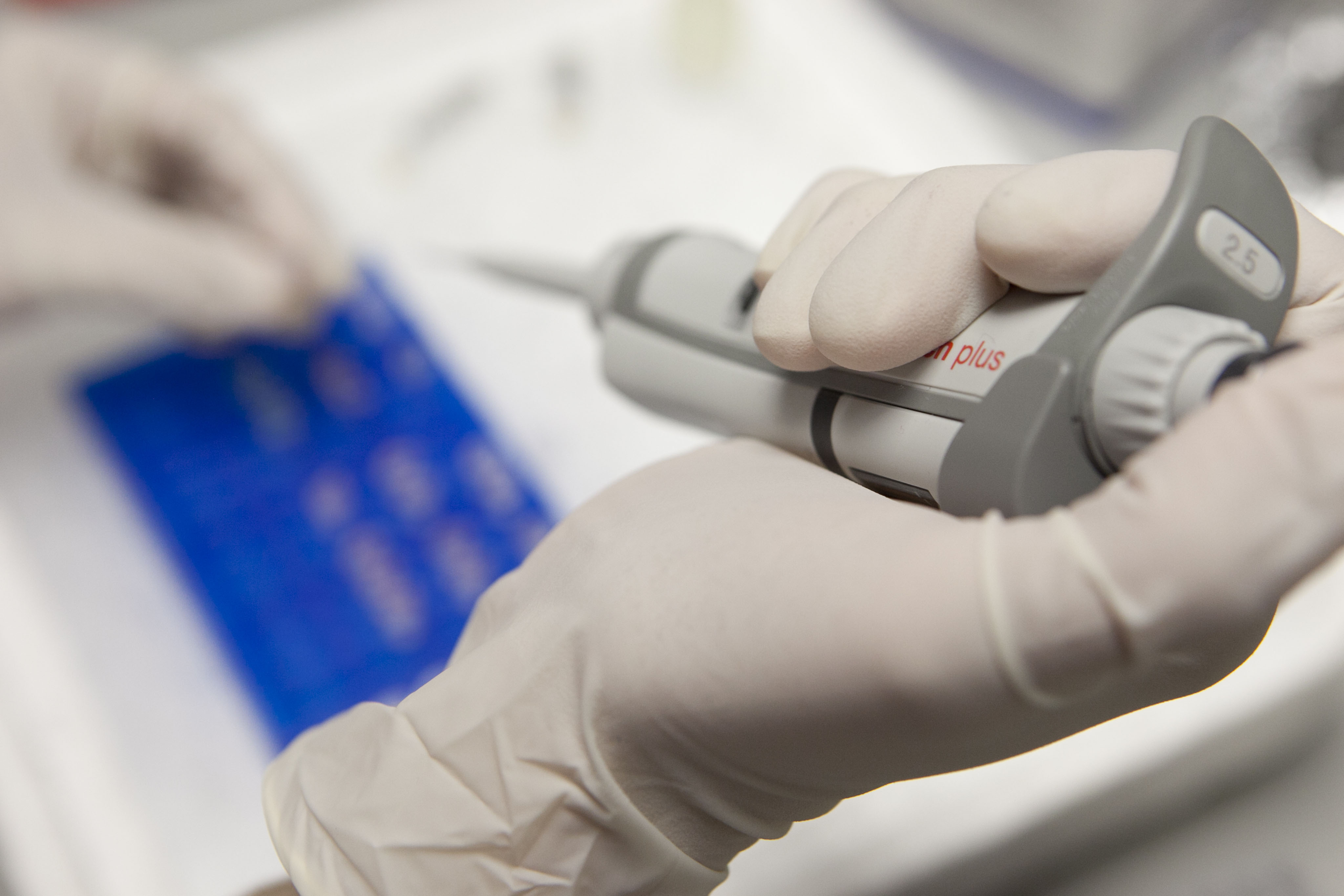 Imagen del laboratorio