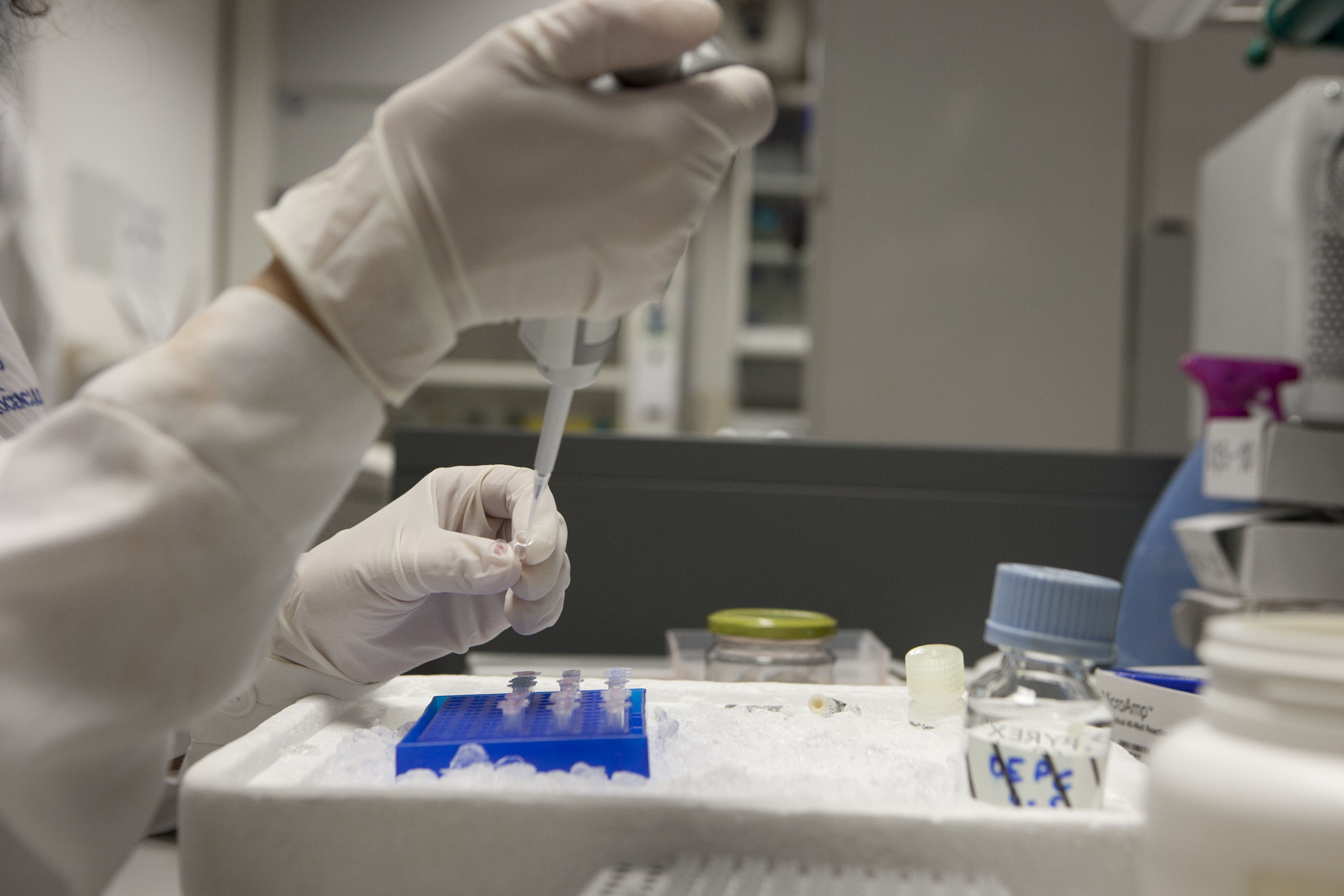 Imagen del laboratorio