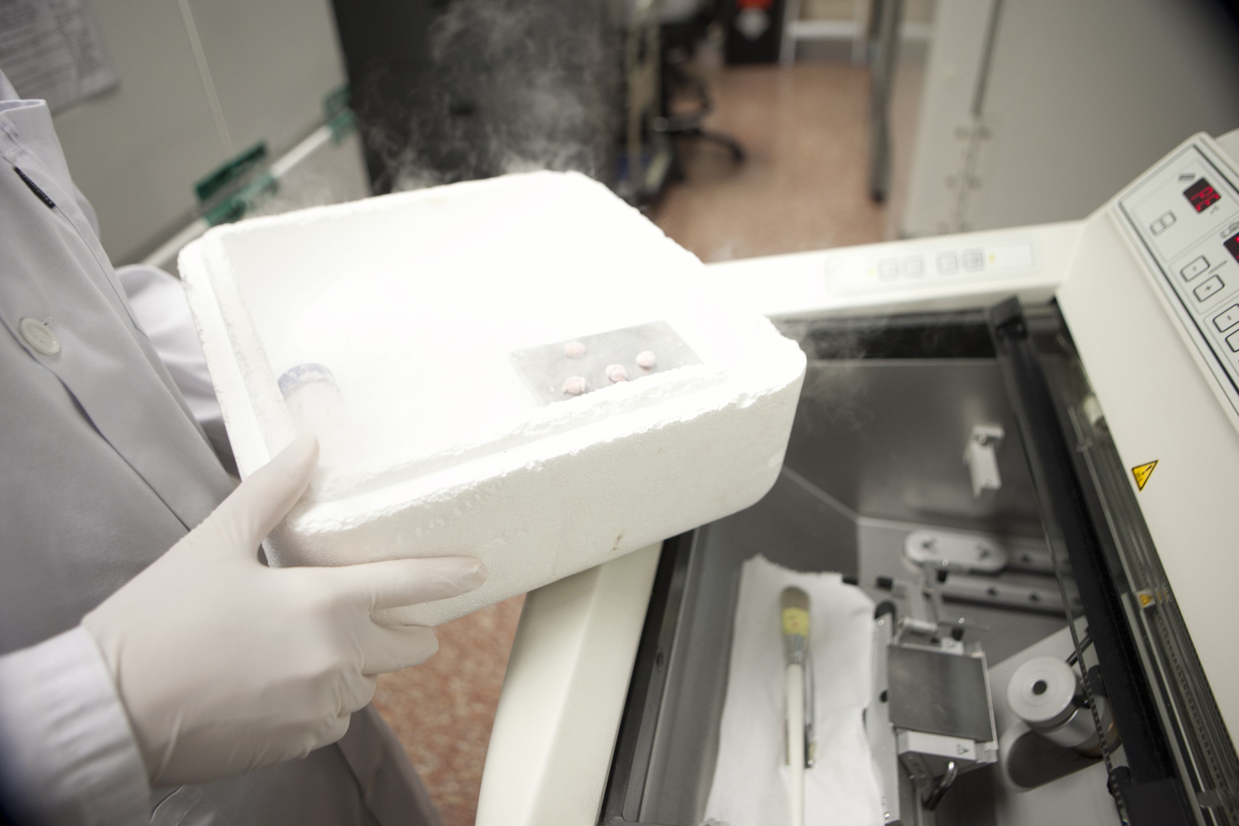 Imagen del laboratorio