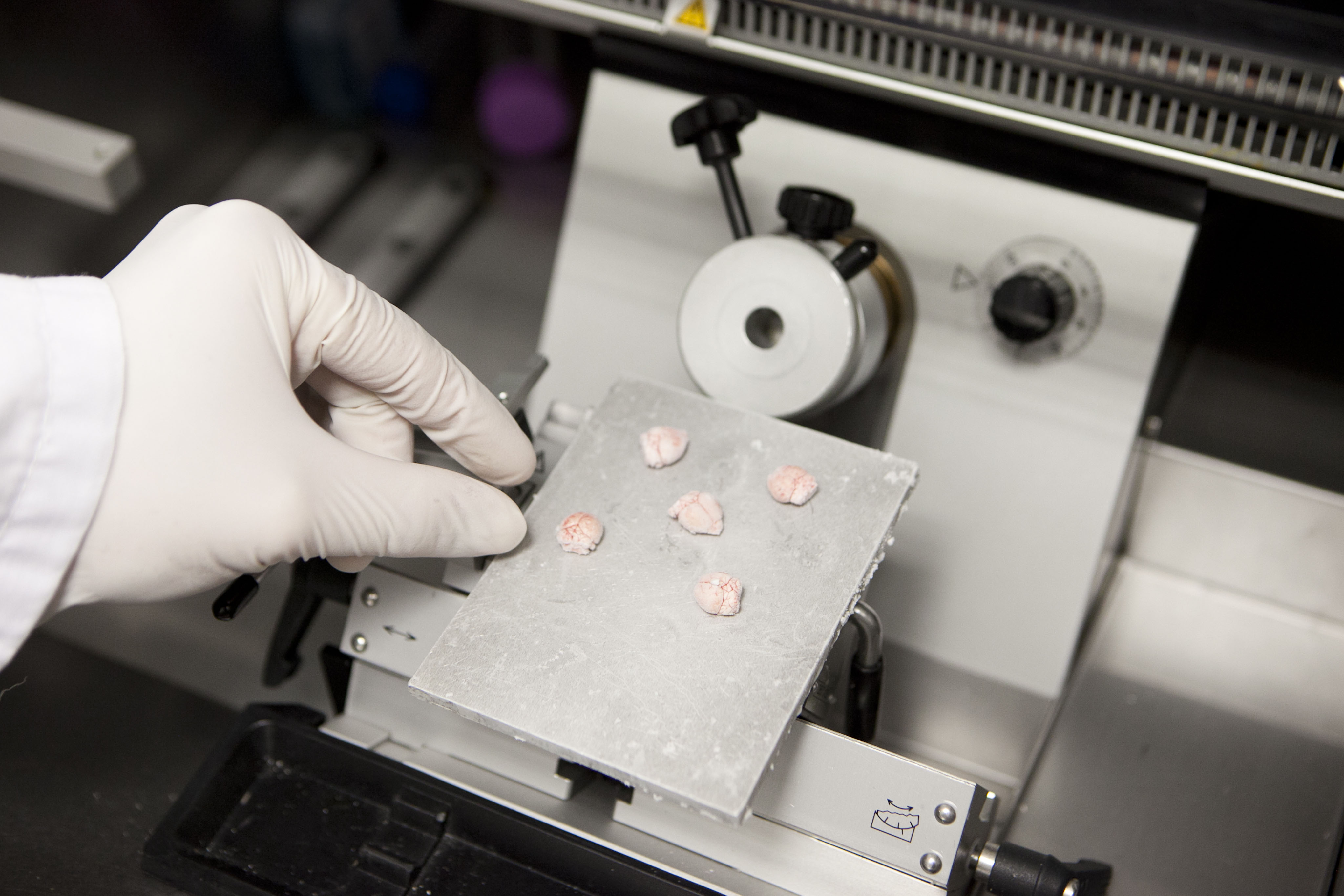 Imagen del laboratorio