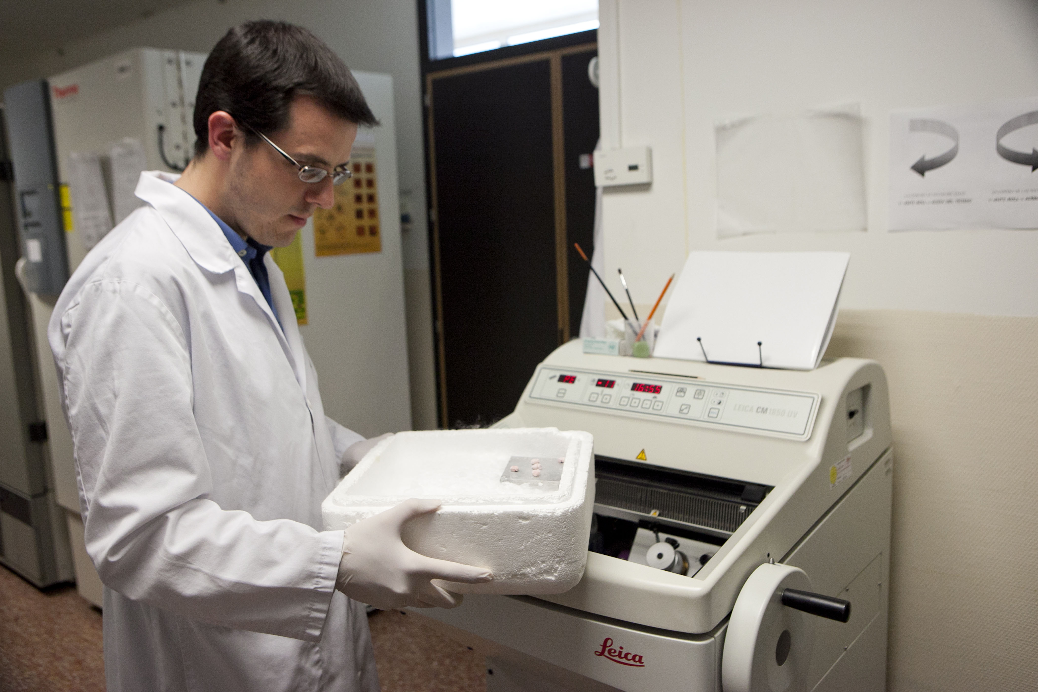 Imagen del laboratorio