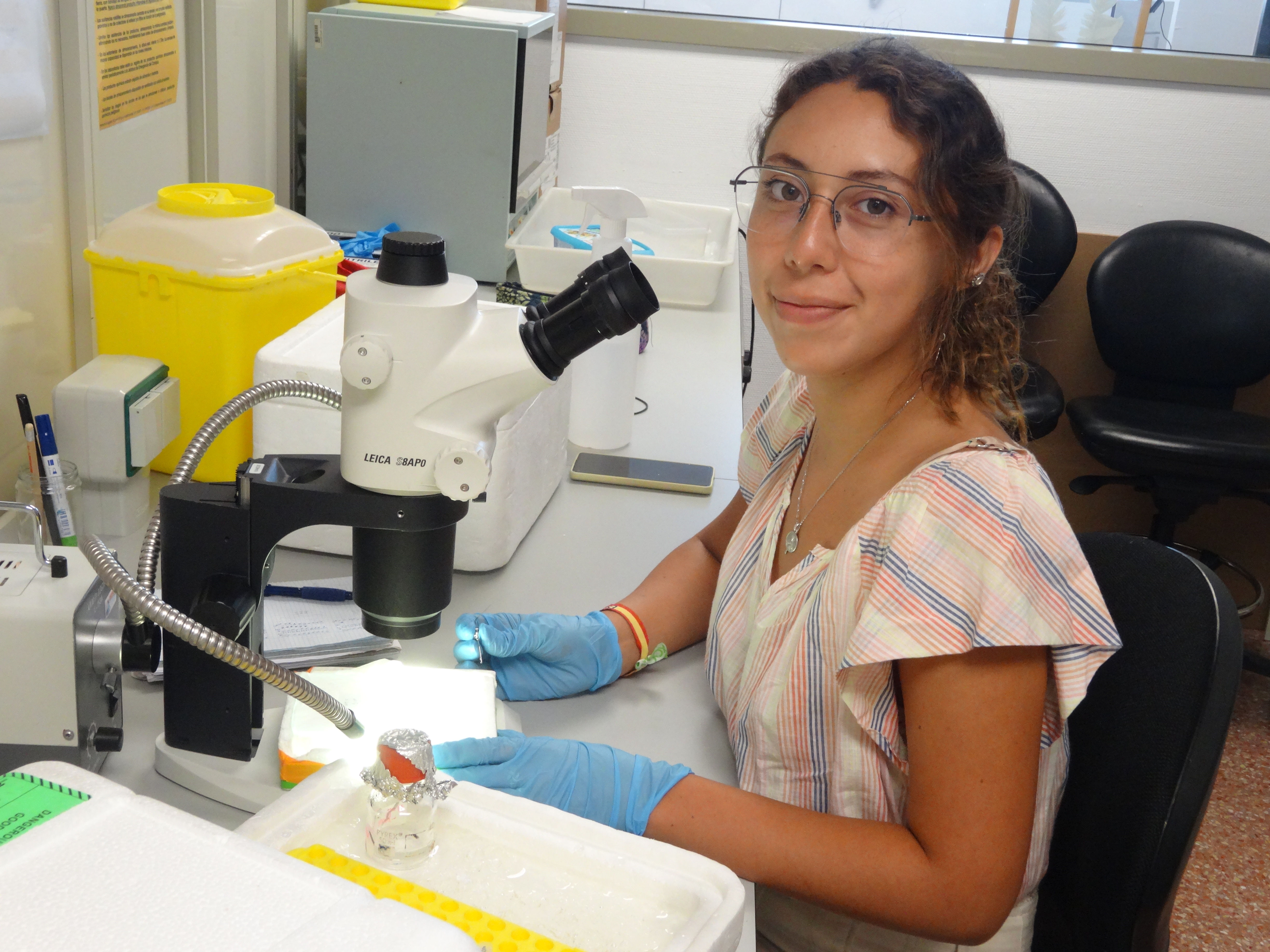 Imagen del laboratorio