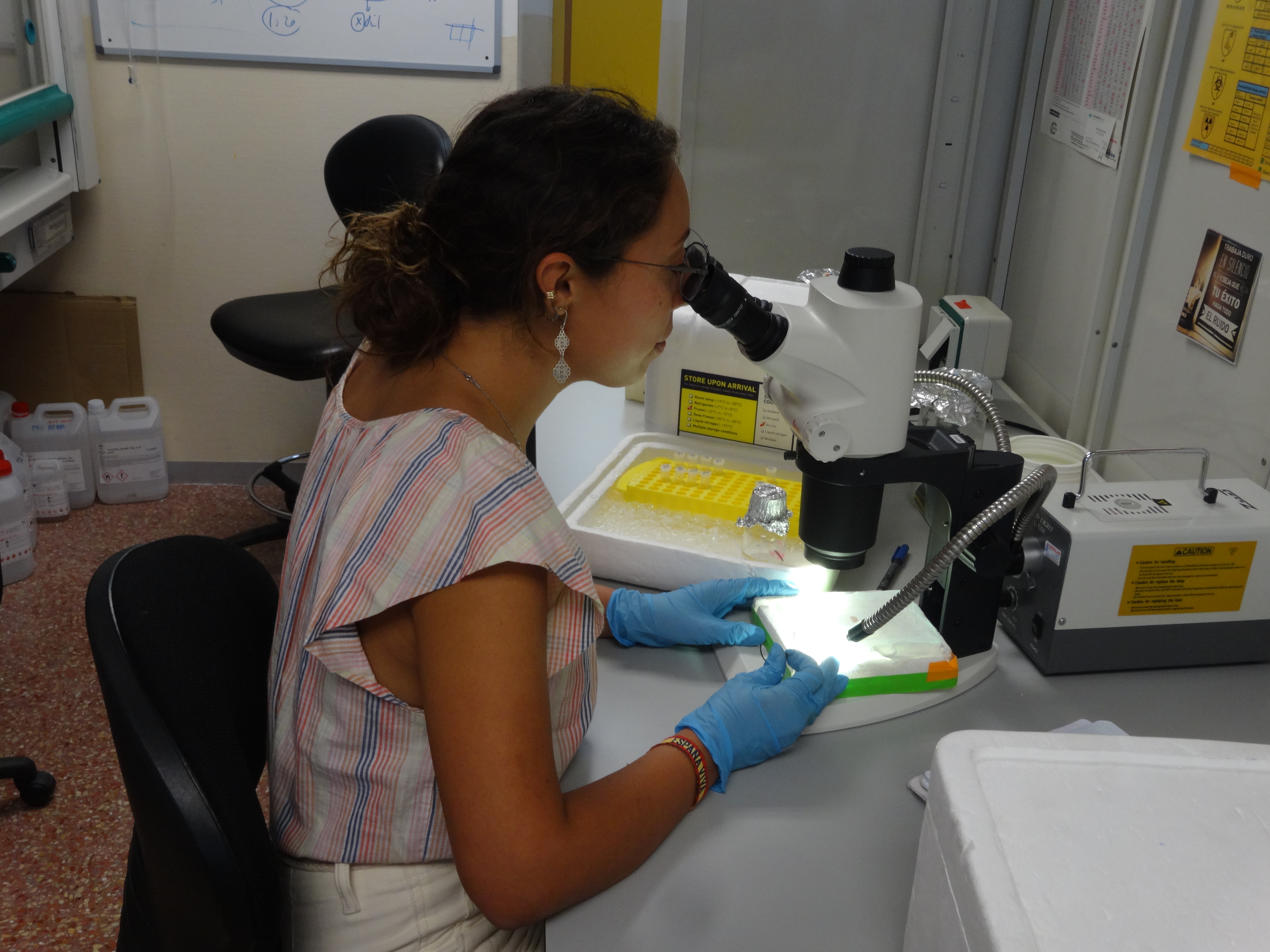 Imagen del laboratorio