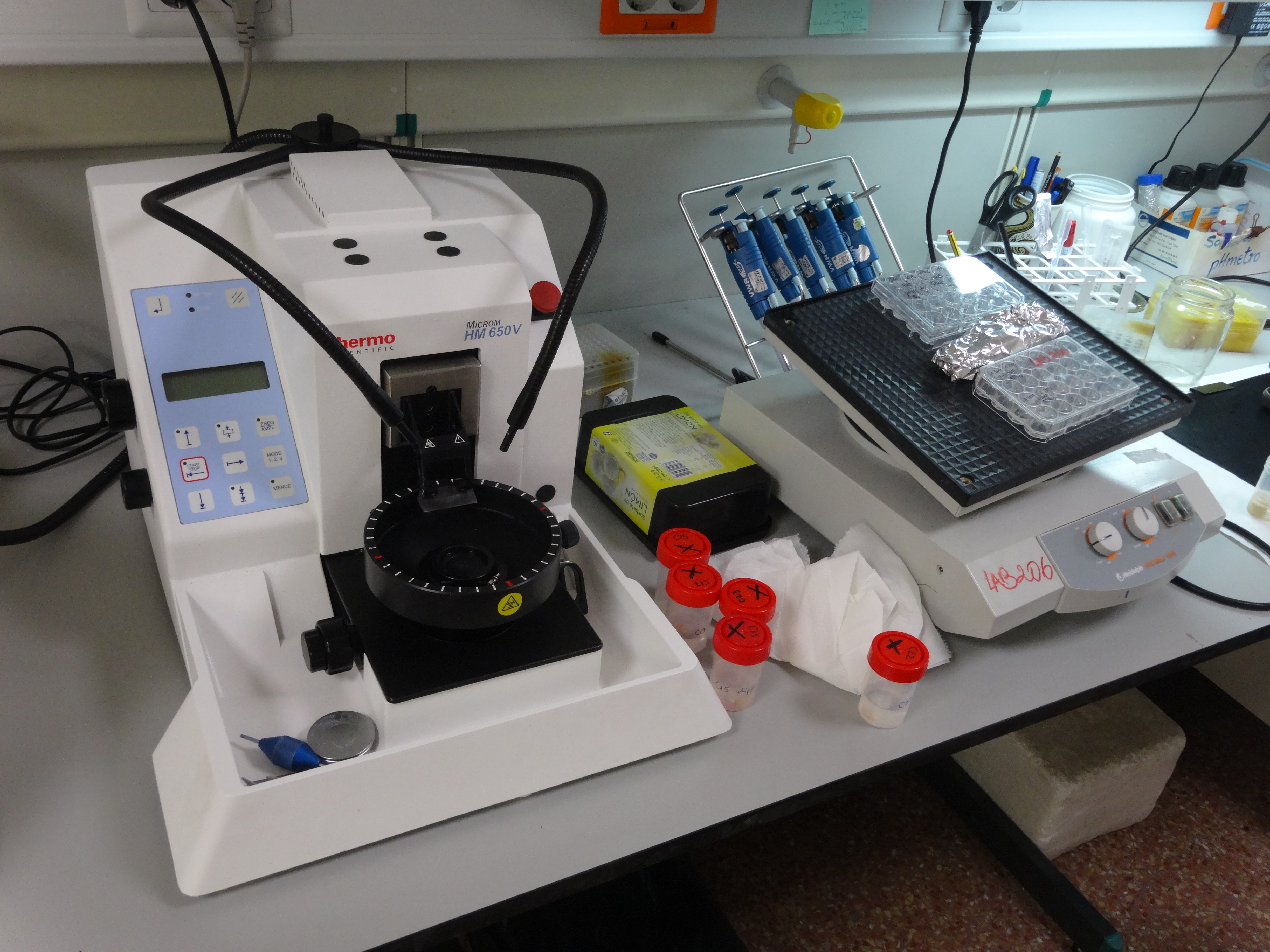 Imagen del laboratorio