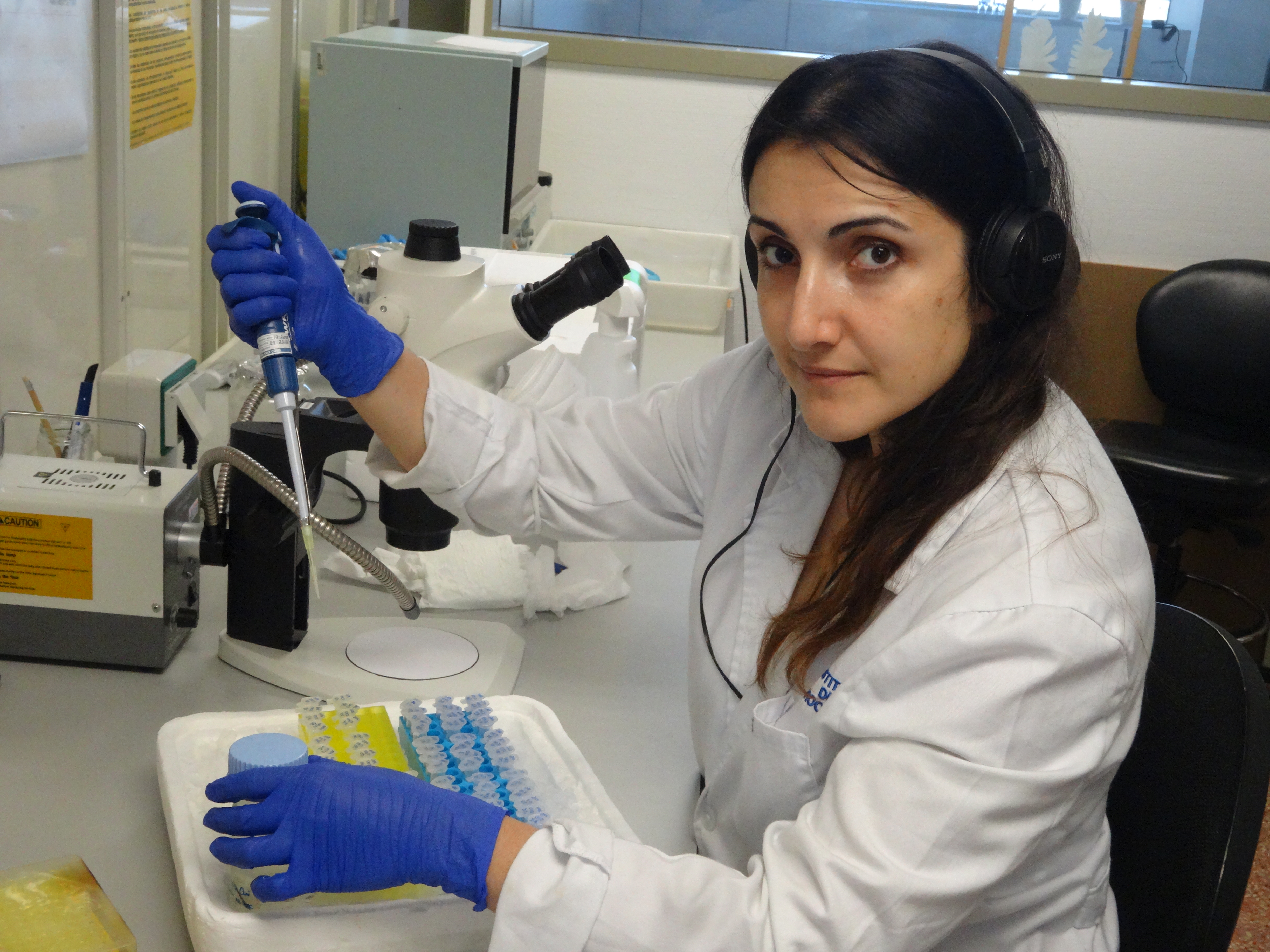 Imagen del laboratorio