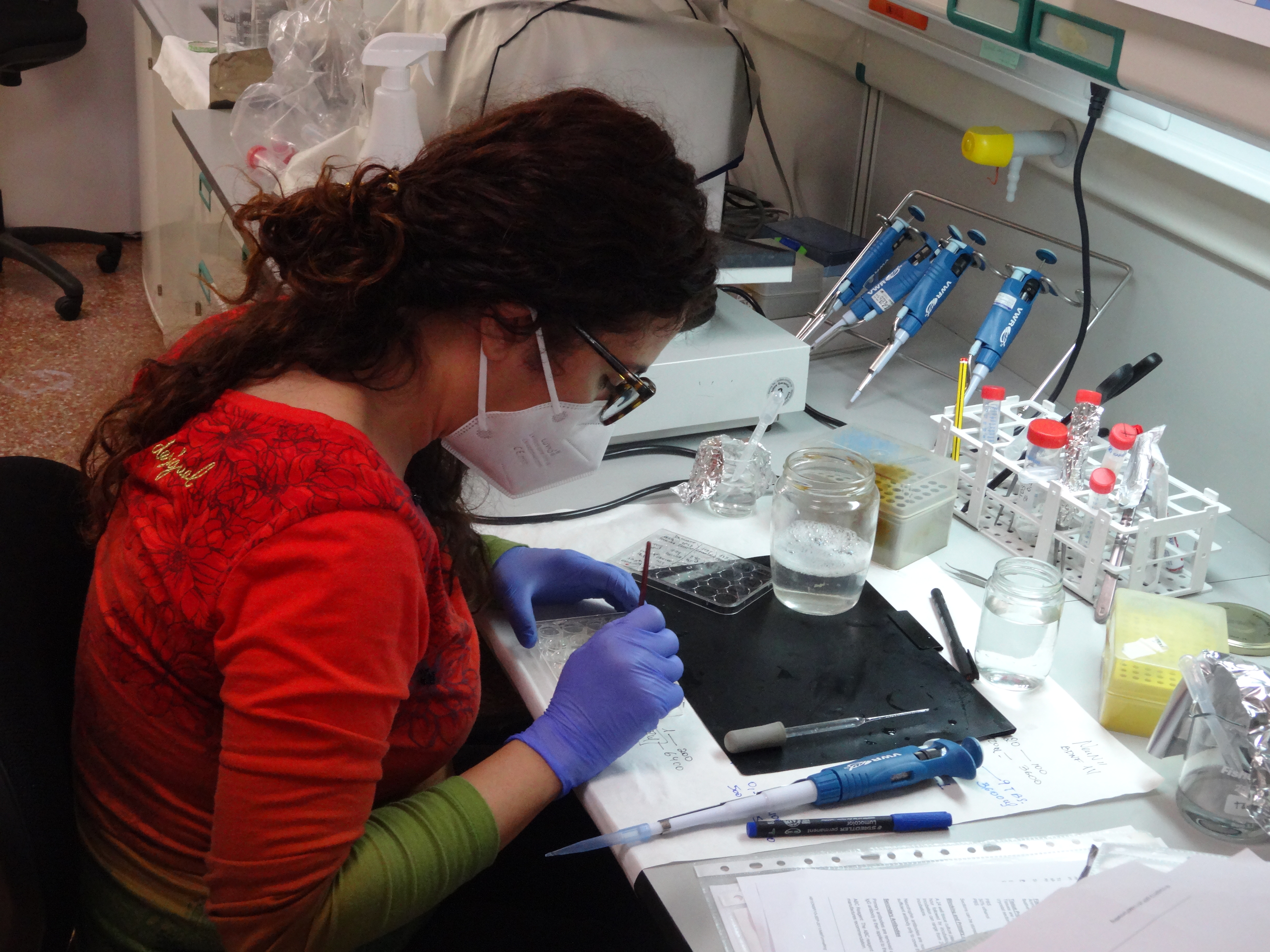 Imagen del laboratorio