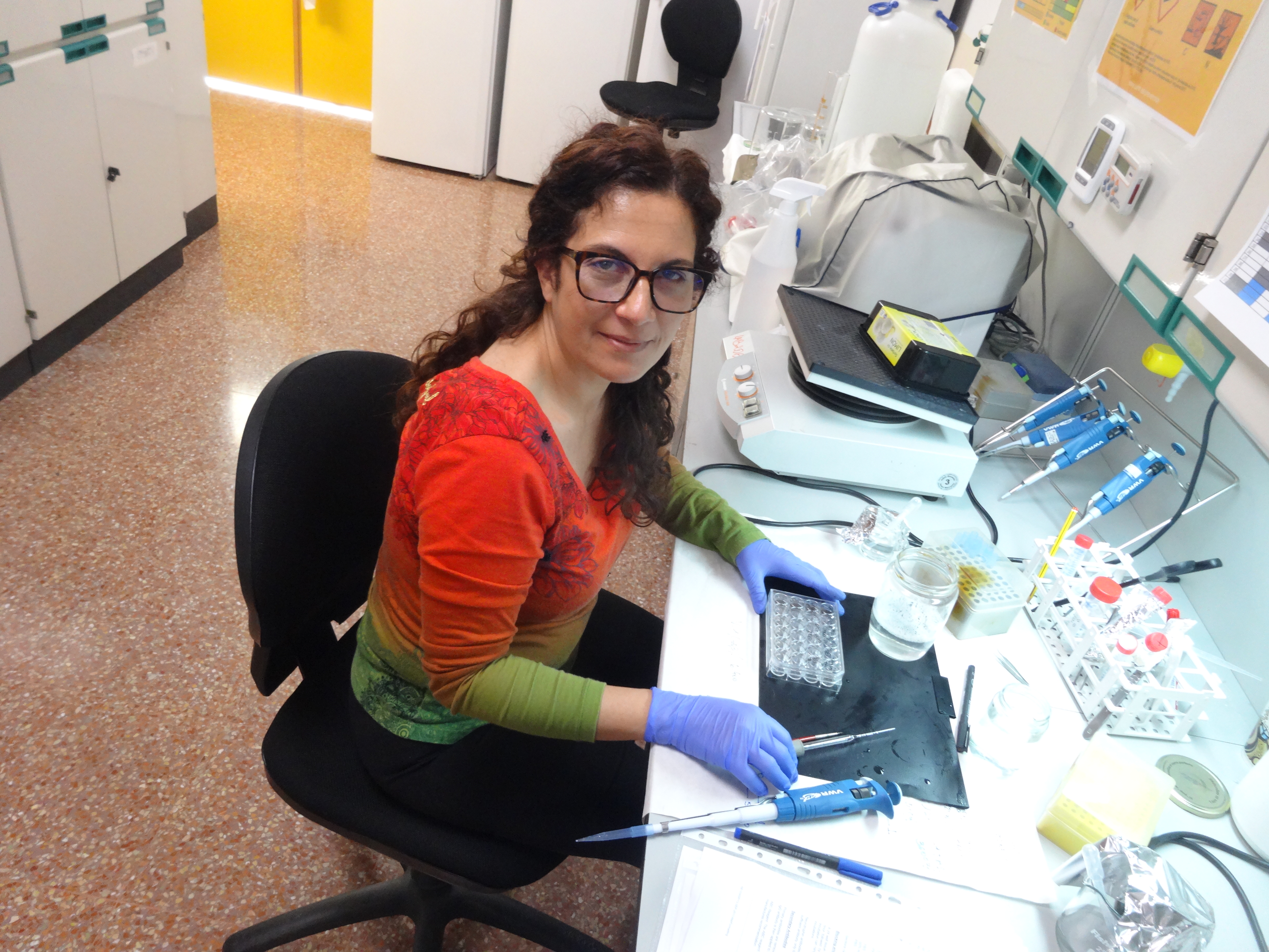 Imagen del laboratorio